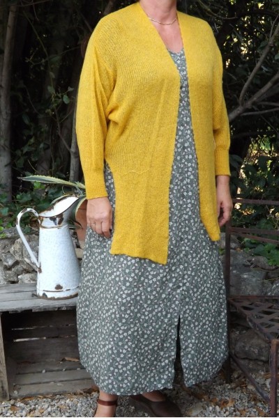 GILET CACHE COEUR PAUL JAUNE ET ROBE ALEXANDRINE