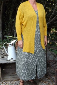 GILET CACHE COEUR PAUL JAUNE ET ROBE ALEXANDRINE