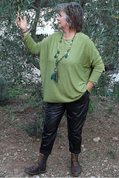 Pull léger Louis grande taille oseille et pantalon Karl