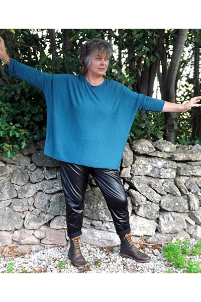 Pull léger Louis grande taille bleu arcangues et pantalon simili Karl